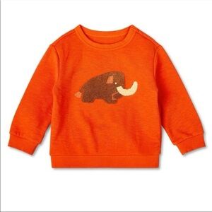 Orange Mammoth Kids Sweatshirt